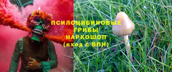 круглые Алексеевка