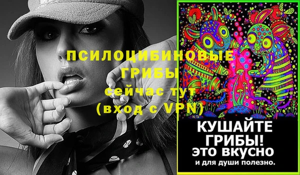 дмт Алзамай