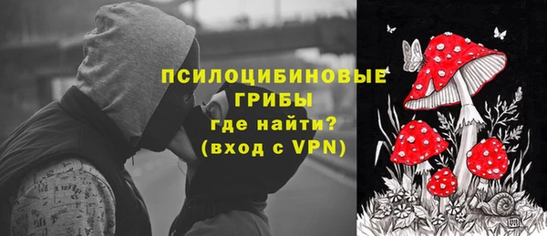 дмт Алзамай