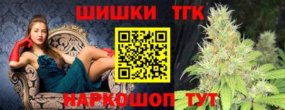 гидра Кингисепп