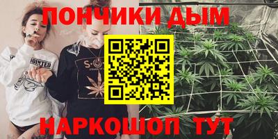 гидра Кингисепп