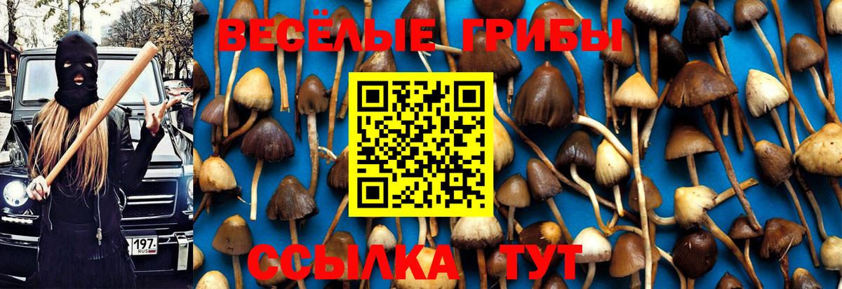 Галлюциногенные грибы Magic Shrooms Когалым
