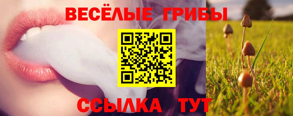 Галлюциногенные грибы Magic Shrooms  Вход с VPN  Галлюциногенные грибы GOLDEN TEACHER  Когалым 